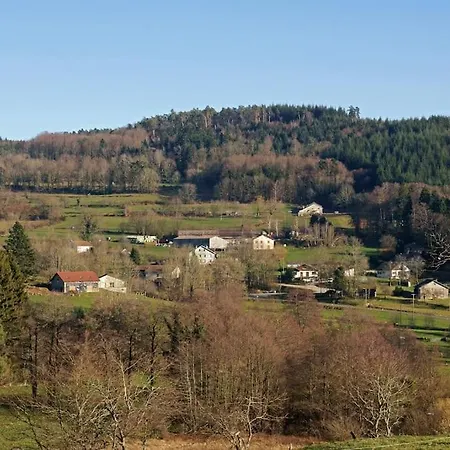 Le De La Repandise - Vosges 9 Pers, Prive & Piscine - Proche Gerardmer